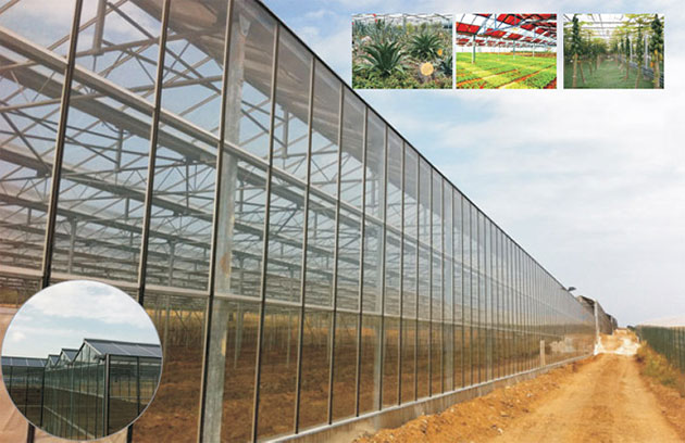 信義農(nóng)業(yè)生態(tài)園230KW光伏農(nóng)業(yè)大棚 信義農(nóng)業(yè)生態(tài)園230KW光伏農(nóng)業(yè)大棚
